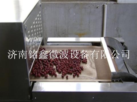 供应红枣微波干燥杀菌设备